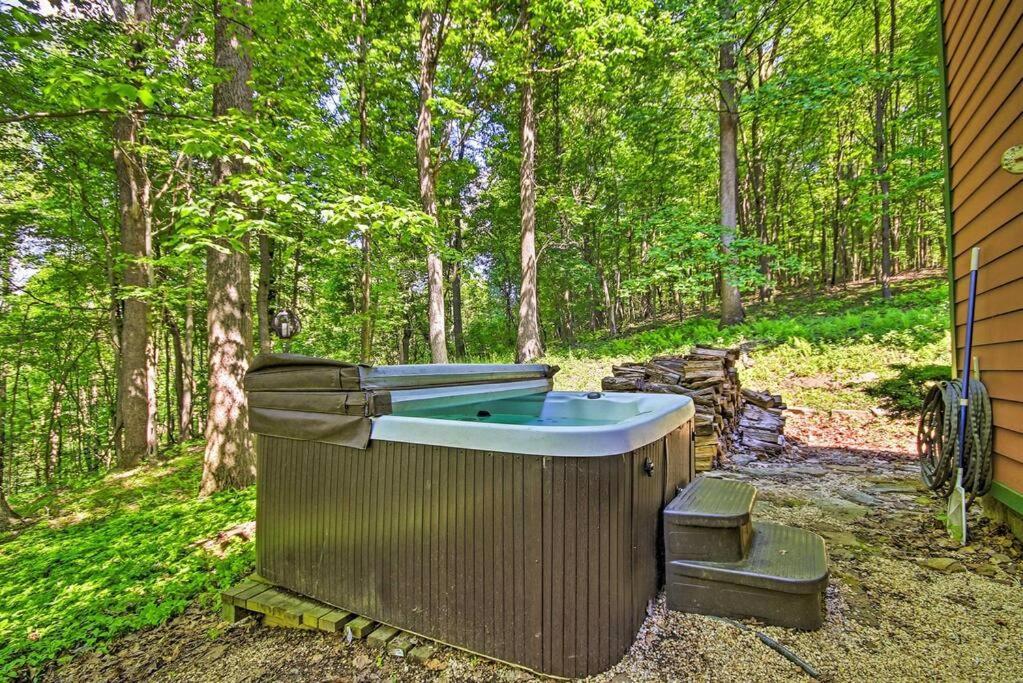 Bear'S Eye View - Mountain Retreat W/ Hot Tub! Βίλα Acme Εξωτερικό φωτογραφία